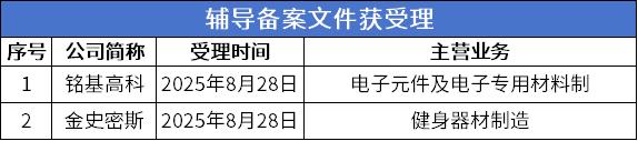 7 辅导期.png