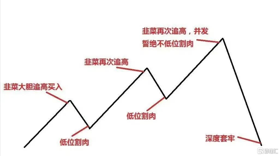 微信图片_20241009235957.png