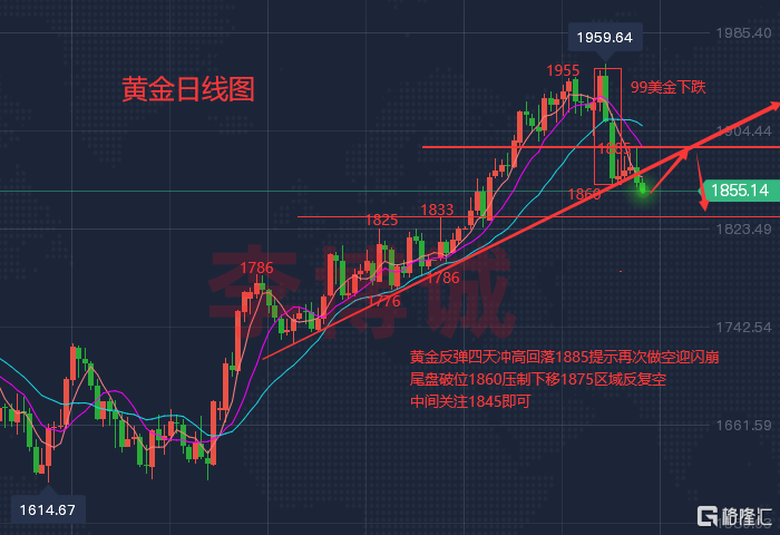QQ图片20230210122958.png