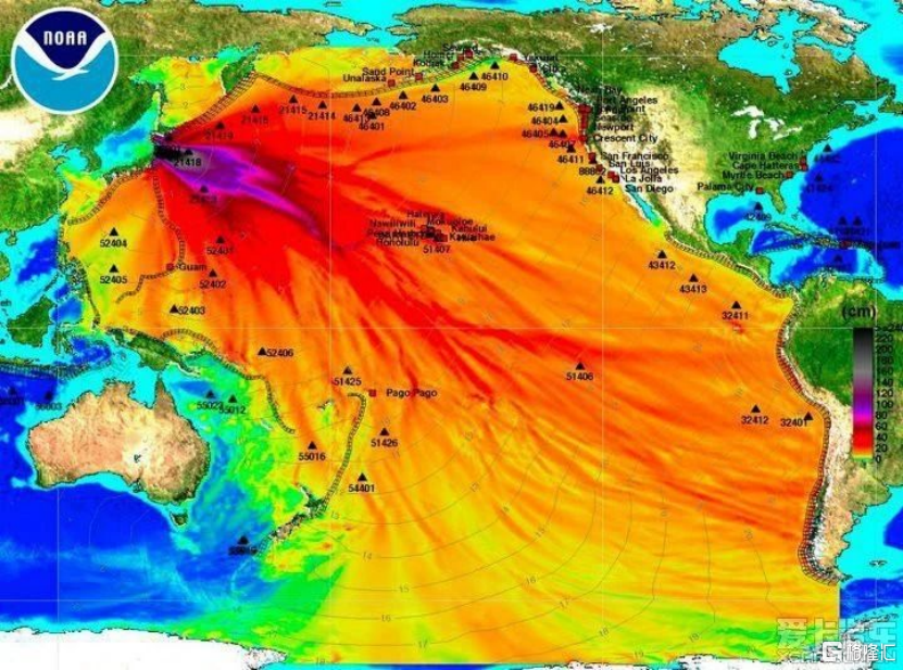 倾倒核废水，日本拉全世界下水插图20