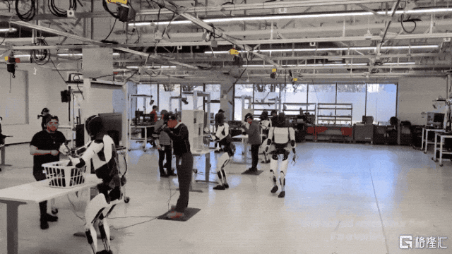 3.gif
