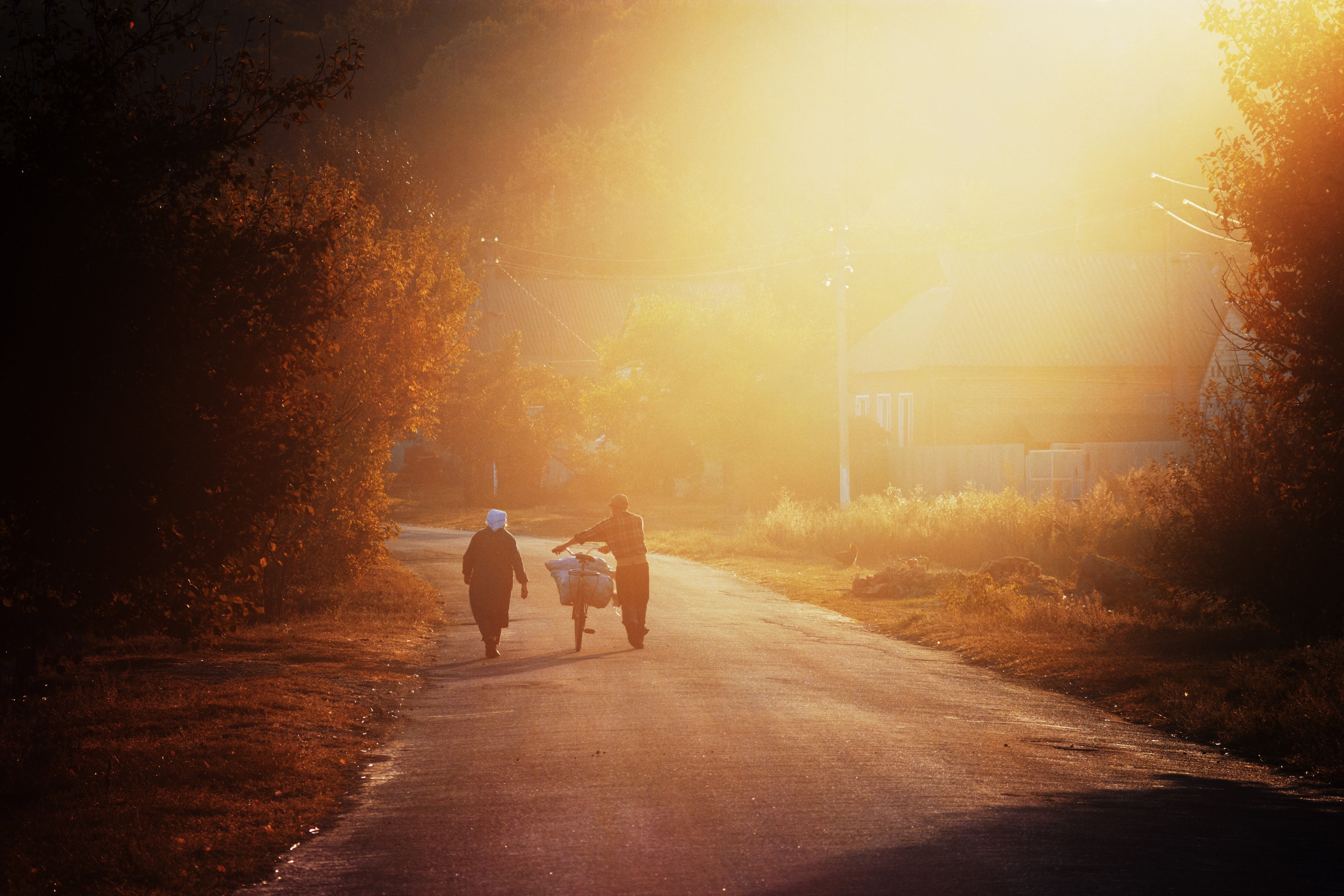 cover_pic