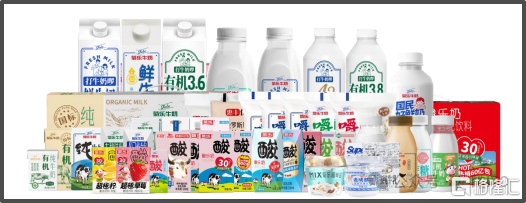 菊乐奶2.jpg