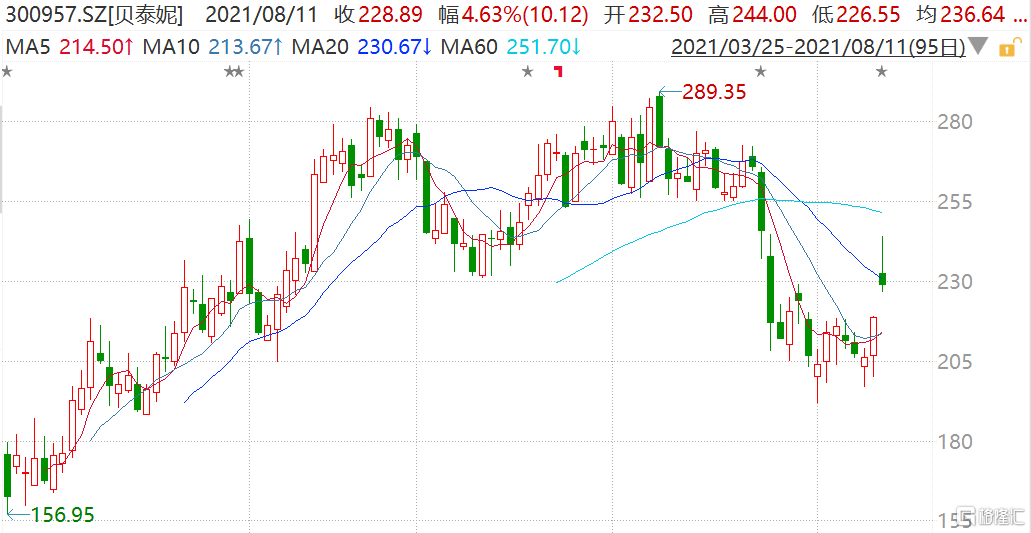 贝泰妮(300957.SZ)一度涨超11% 市值超1000亿元