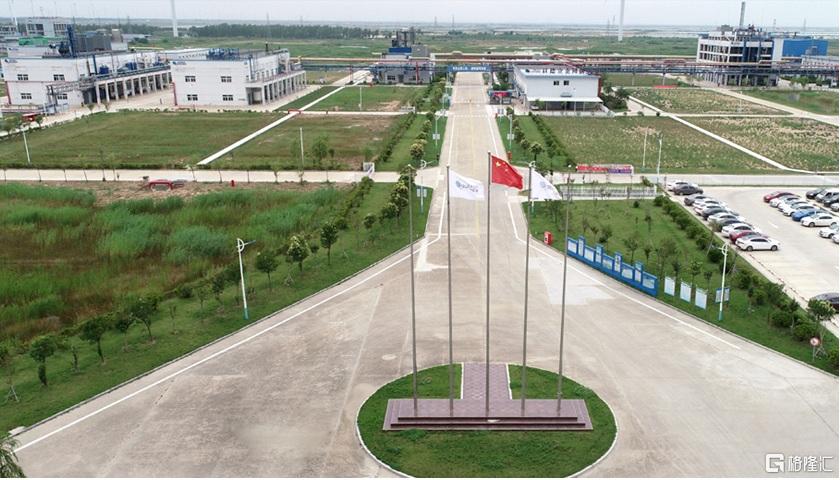 qingquan.jpg
