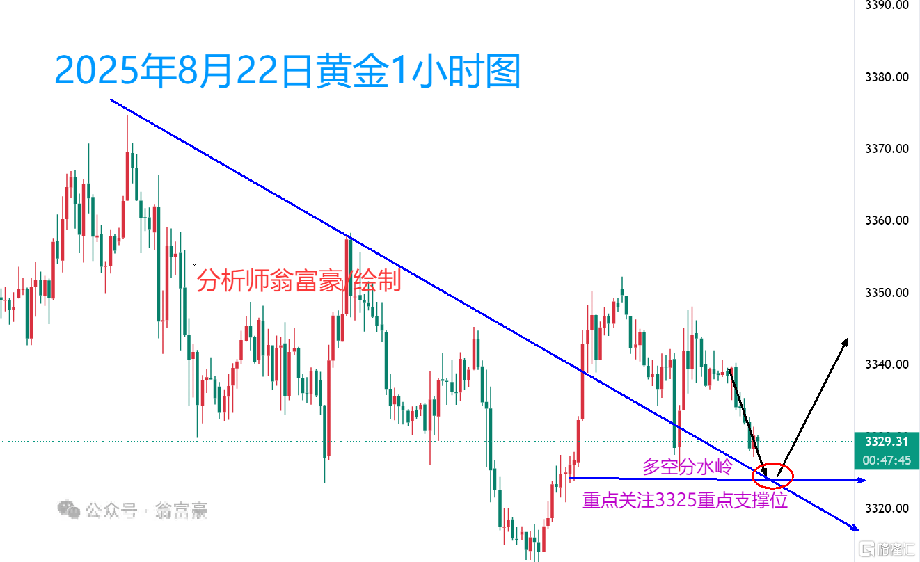 8.22午间水印.png