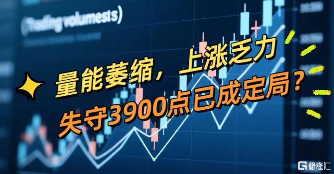 微信图片_20251022124814_635_11.jpg
