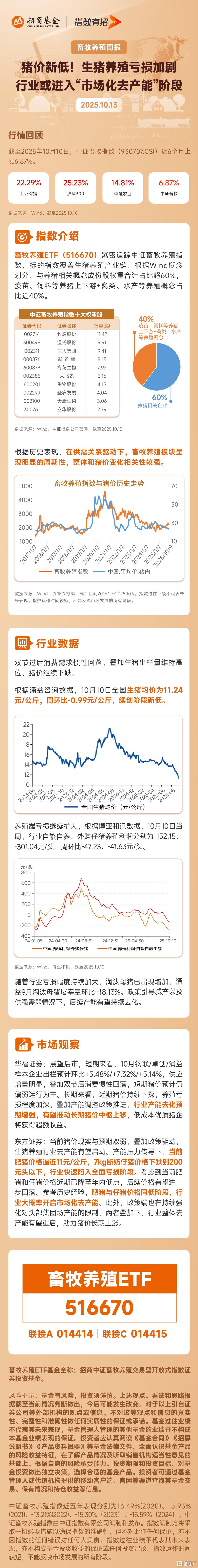 猪周报.png