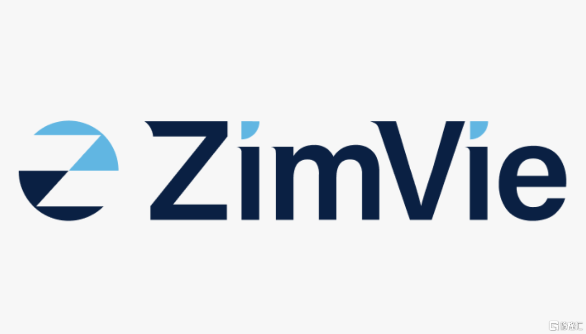*图源：ZimVie官网