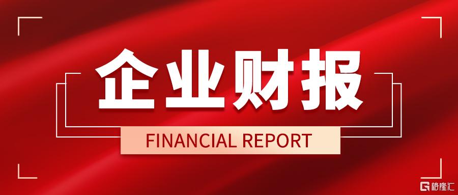 企业财报.jpg
