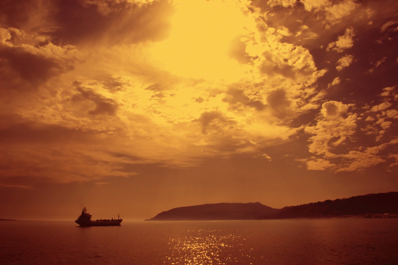 cover_pic