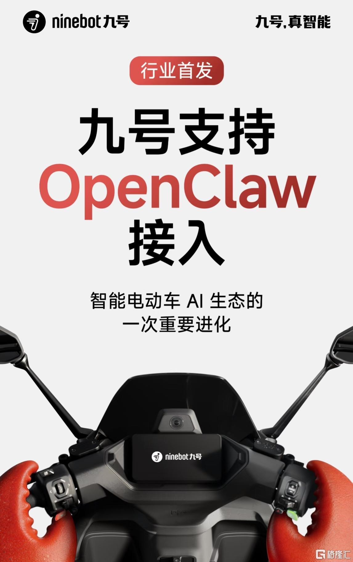 九号4.jpg