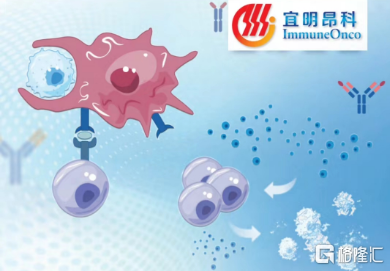 未命名1692846232.png