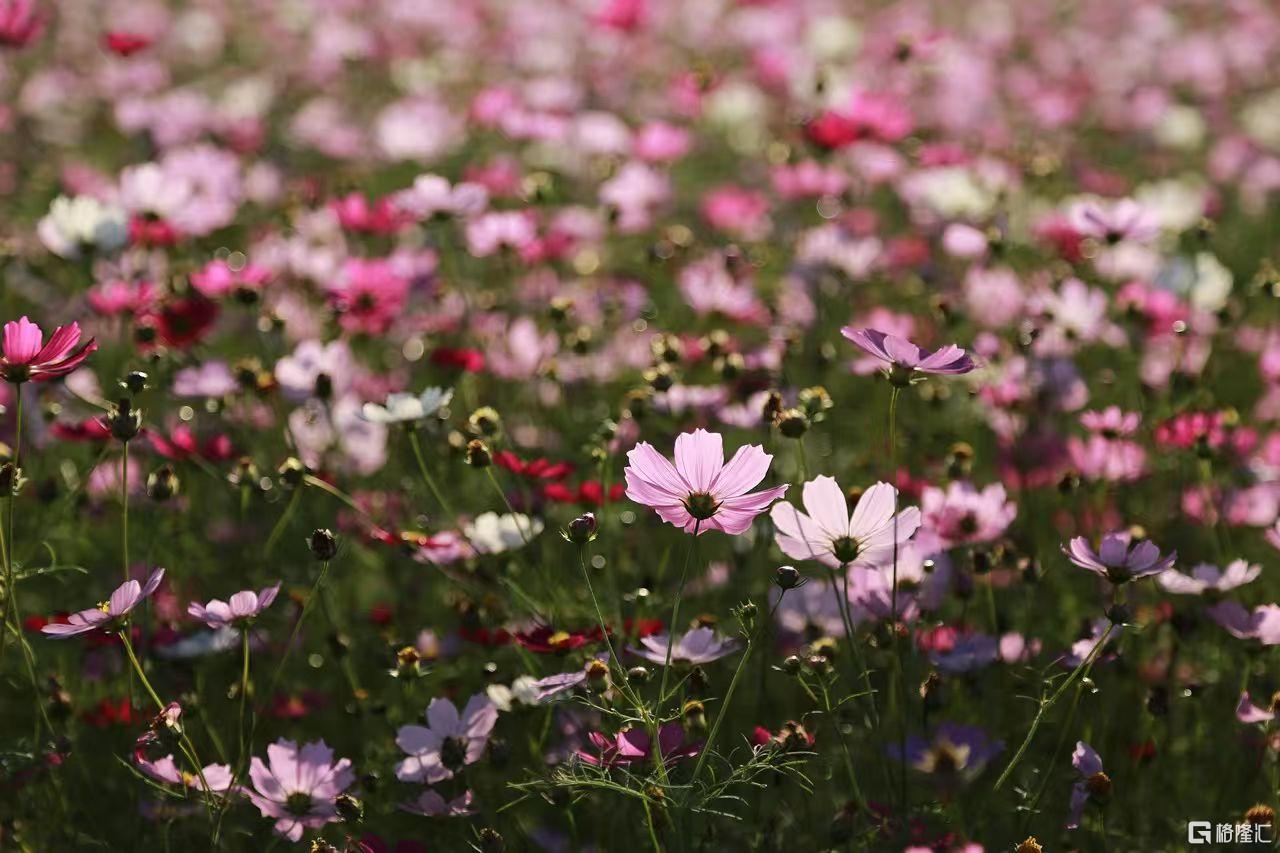 6c34f04b05befa7dbf39cf6085c6c8a8.jpg