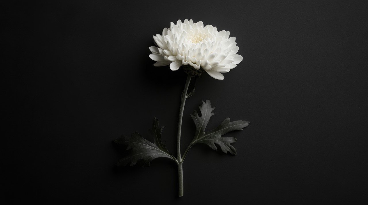 cover_pic