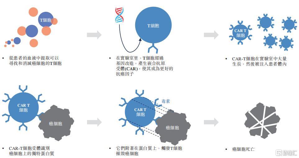 cb10a16e-bd02-4674-9468-991218c71081.png