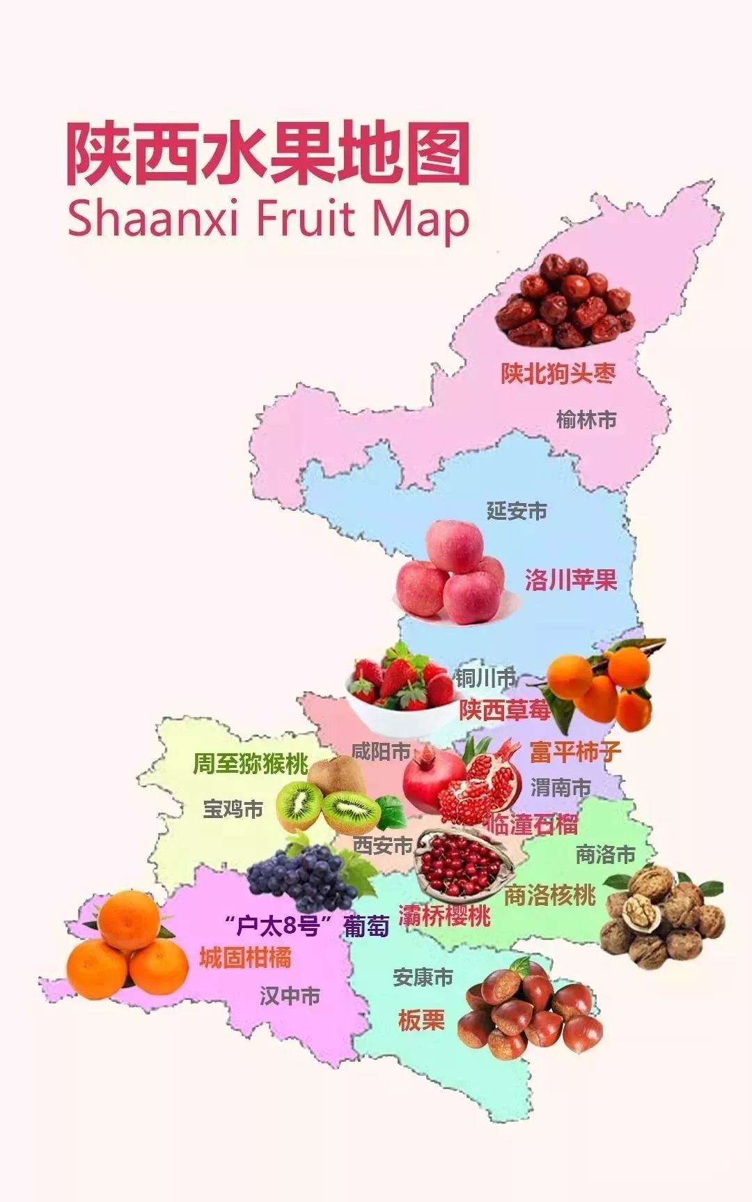 中国水果产区分布图图片